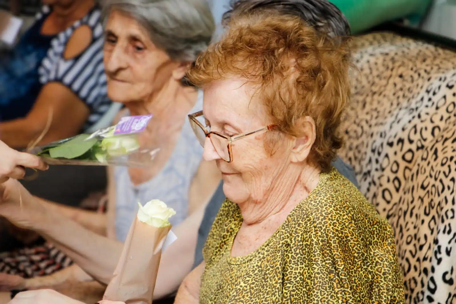 Sonhos eternos